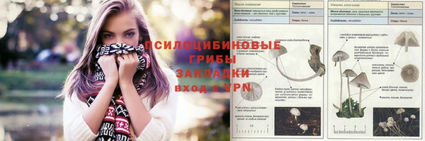 прущий лед Алексеевка