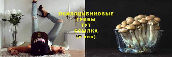 гашик Алзамай