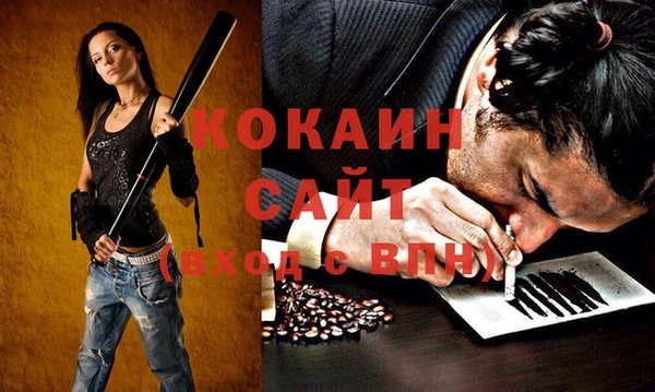 дмт Алексин