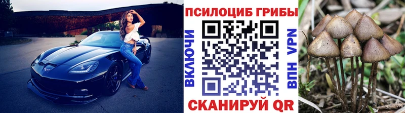 как найти закладки  Волгоград  Псилоцибиновые грибы прущие грибы 