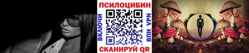 Галлюциногенные грибы Cubensis Волгоград